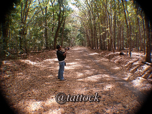 Di tengah jalan: perpaduan nuansa coklat dan hijau